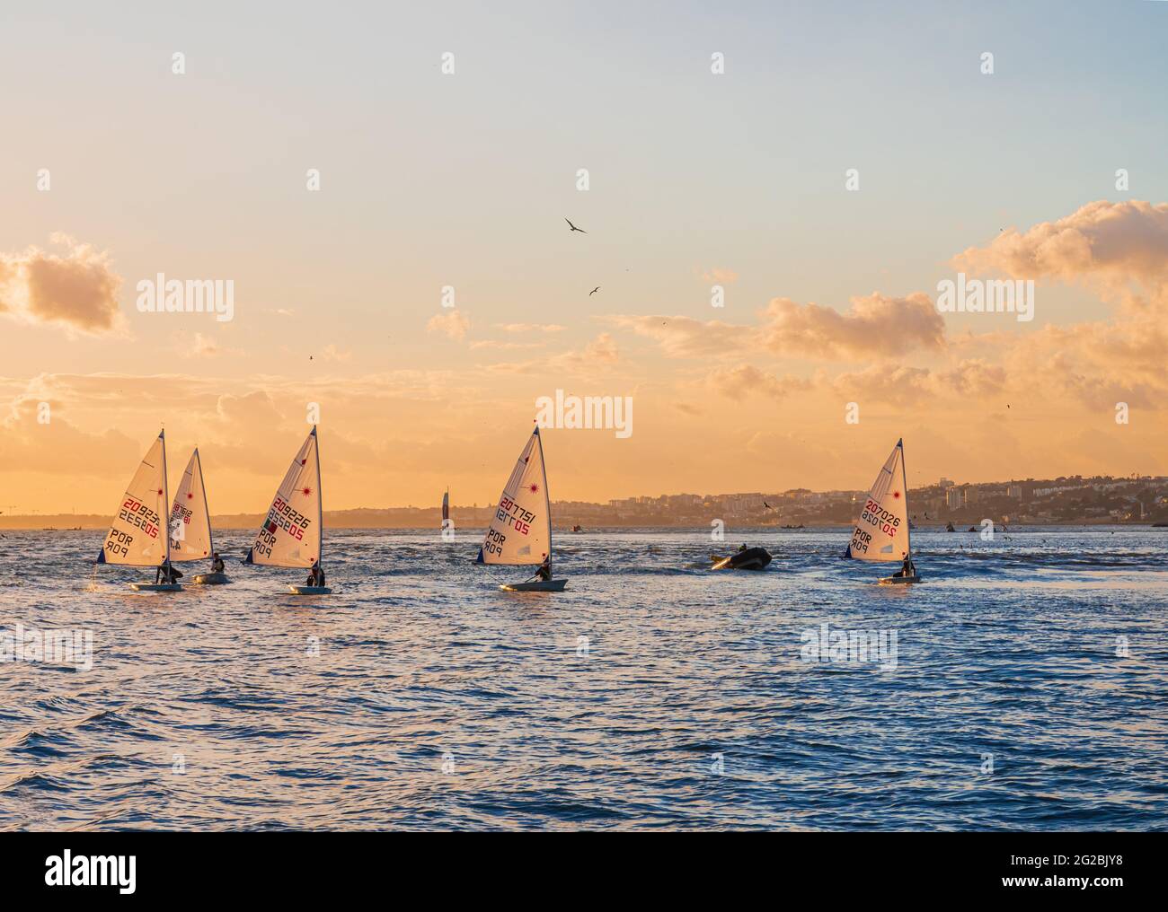 Laser sailing boats hi-res stock photography and images - Alamy