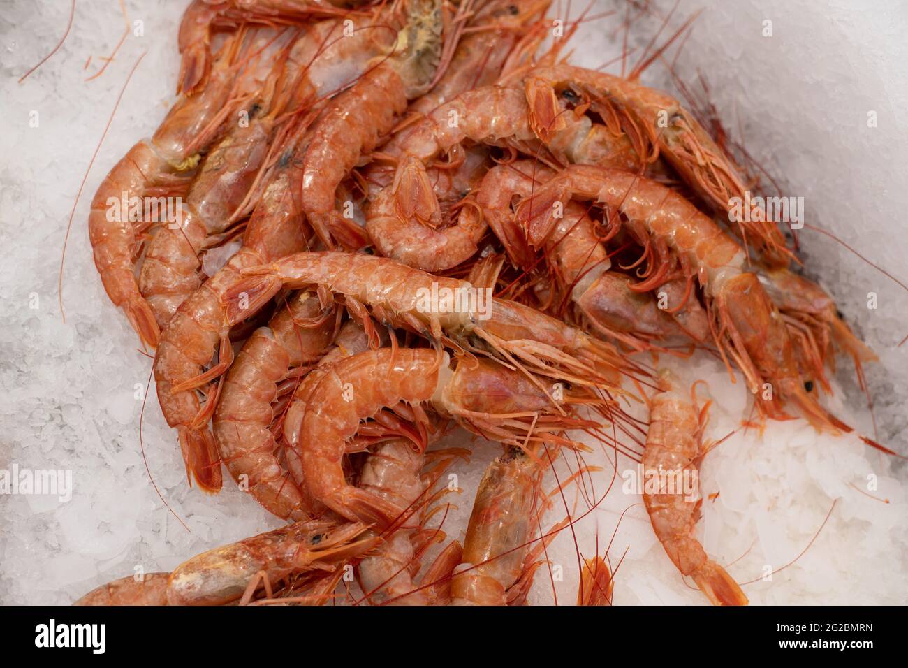 Red argentine shrimps on ice for sale Stock Photo