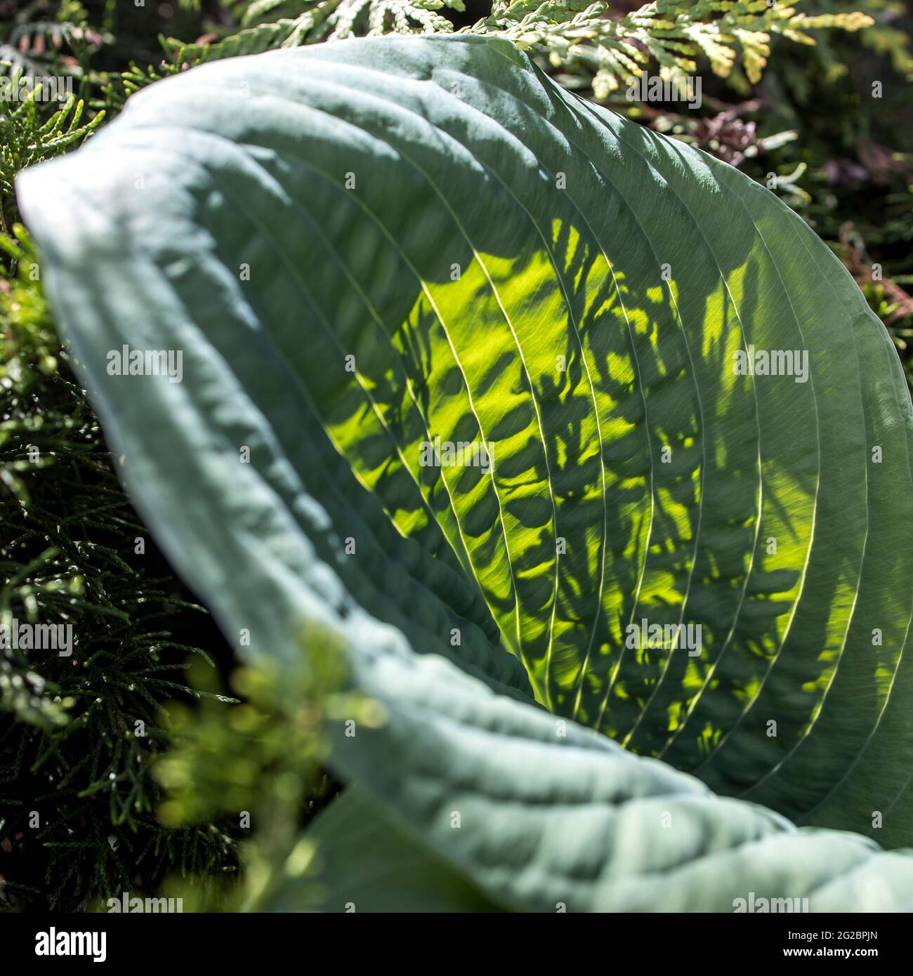 My Image 15