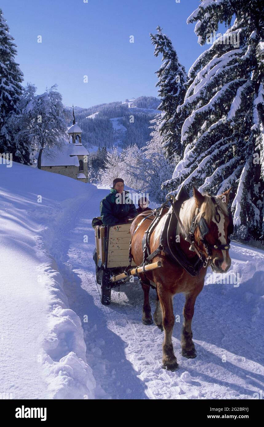 FRANCE. HAUTE-SAVOIE (74) VAL D'ARLY AND MONT-BLANC COUNTRY. MEGEVE  SKI RESORT.  SLEIGH-RIDE ON CHEMIN DU CALVAIRE Stock Photo