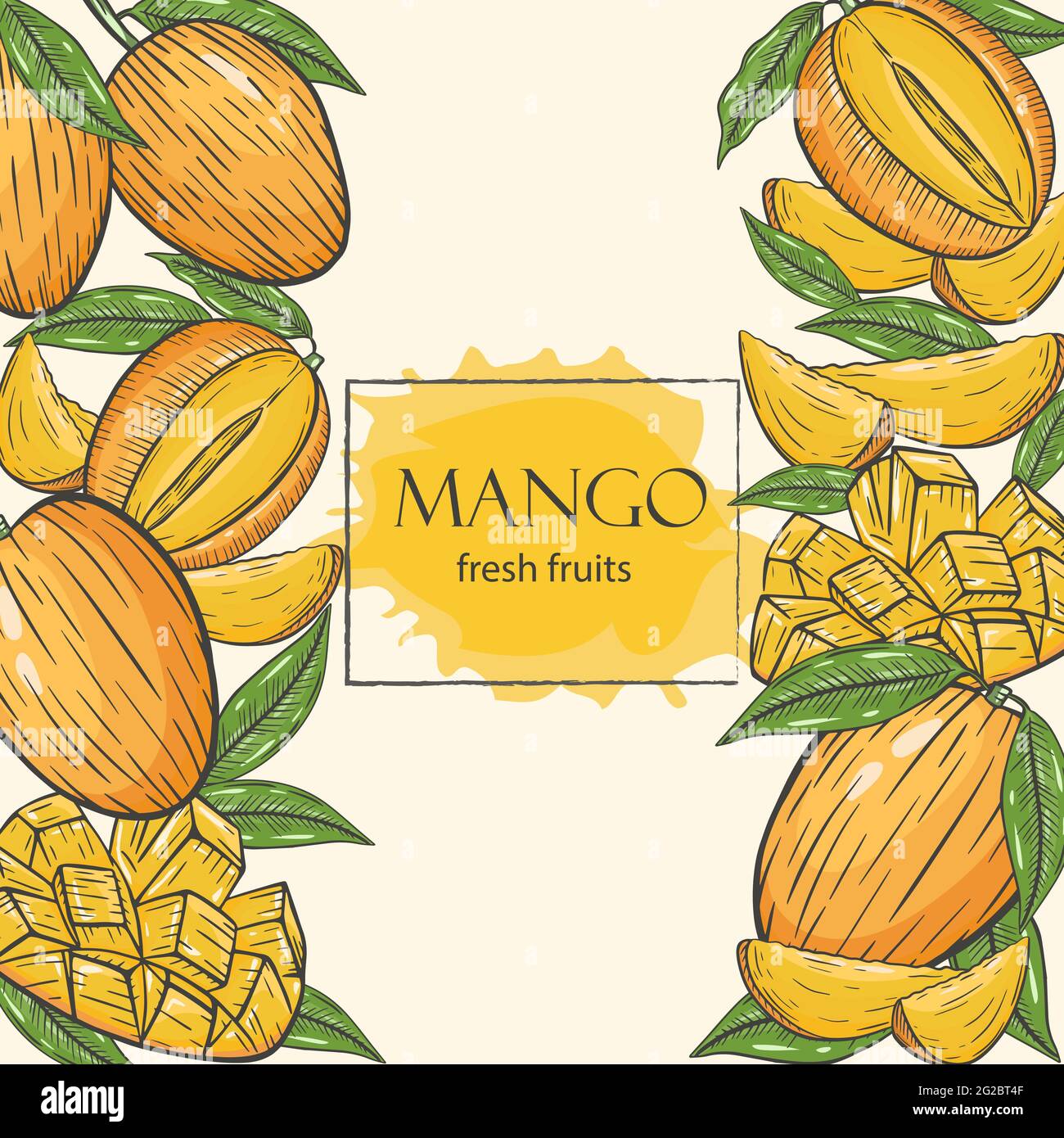 Background with mango, vector illustration. Whole mango, slices and leaves, hand drawing. Frame with exotic tropical yellow fruits. Stock Vector