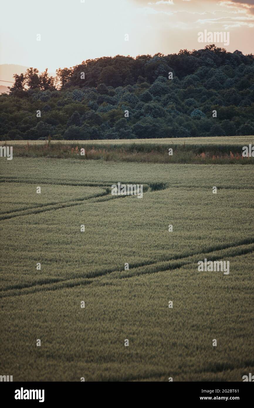 Vertical shot farmland sunset hi-res stock photography and images - Alamy