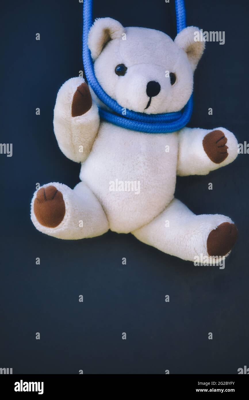 Teddy bear cuddly stuffed toy hanging in blue rope noose. Concept of evil, sinister, lost childhood Stock Photo