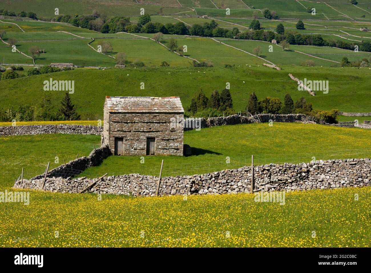 blue sky; britain; british isles; countryside; david; dry stone walls; field barn; barns; fields; hay meadow; hay meadows; wild flower meadows; landsc Stock Photo