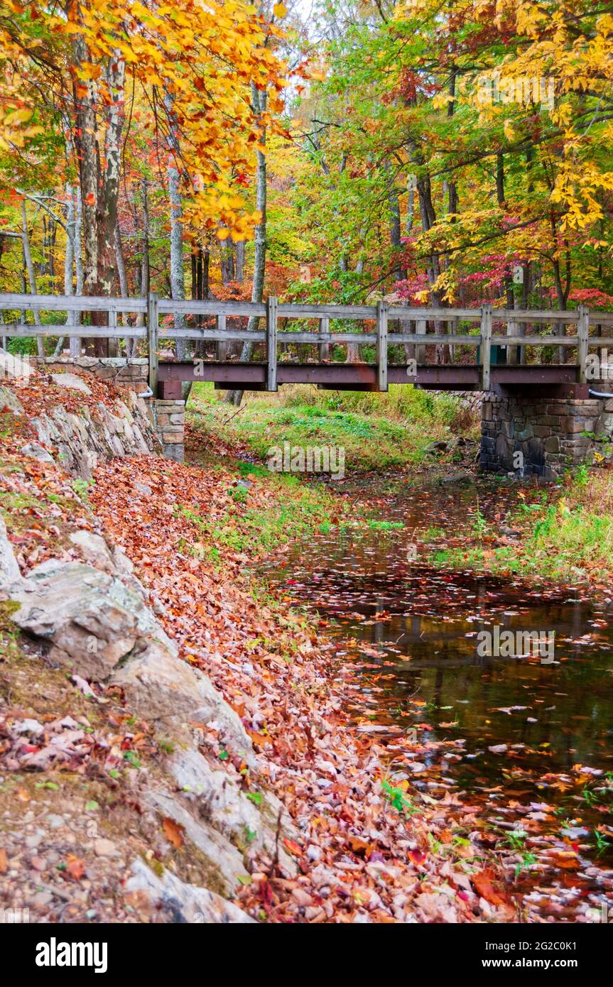 View of a wooden bridge spanning a ditch with water on an colorful autumn day. Stock Photo