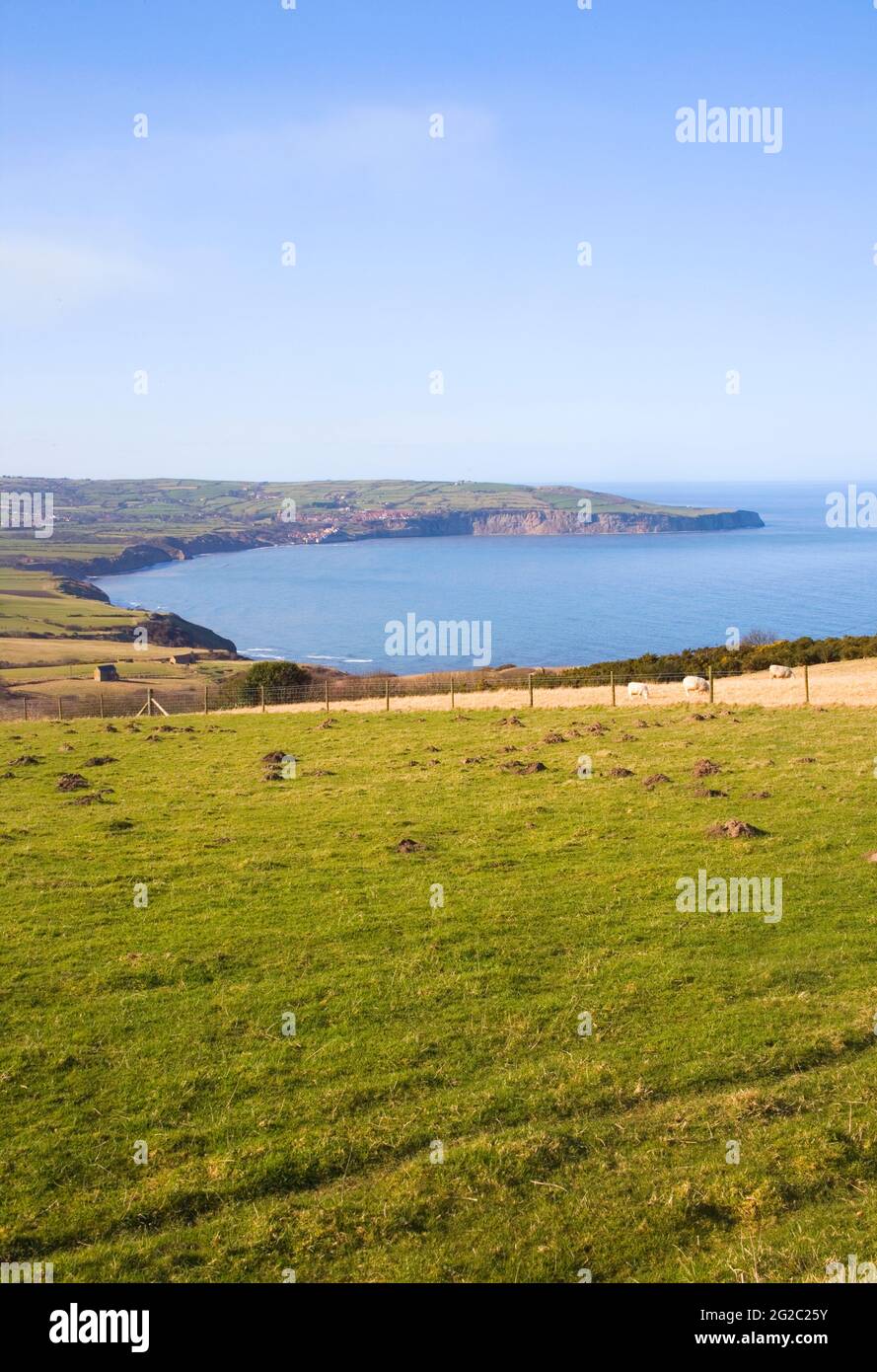 robin hoods bay on the North yorkshire coast Stock Photo Alamy