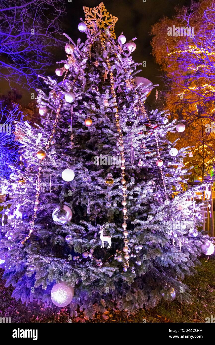 Christmas tree in Vienna, Austria Stock Photo Alamy