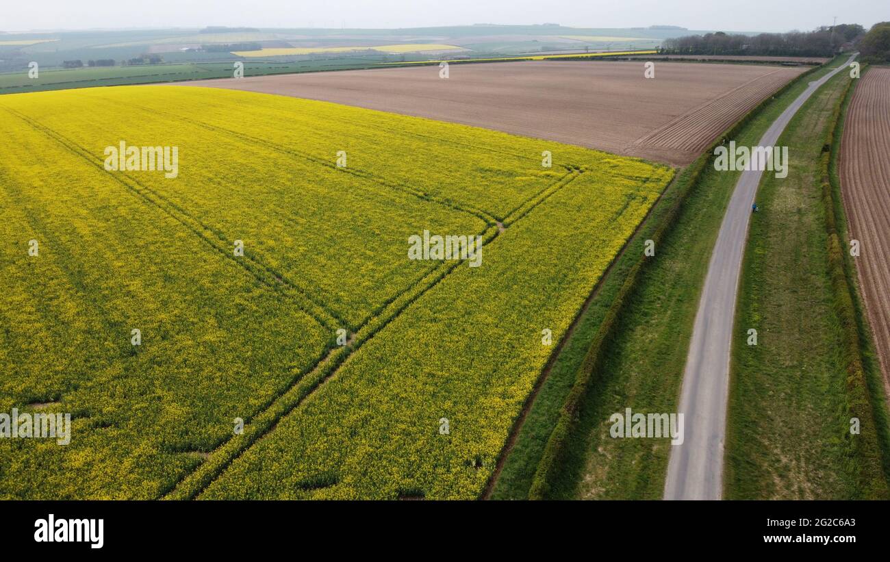 Aerial View of Rural Farm Fields, Kiplingcoates, Vale of York, East Riding of Yorkshire, England, UK Stock Photo