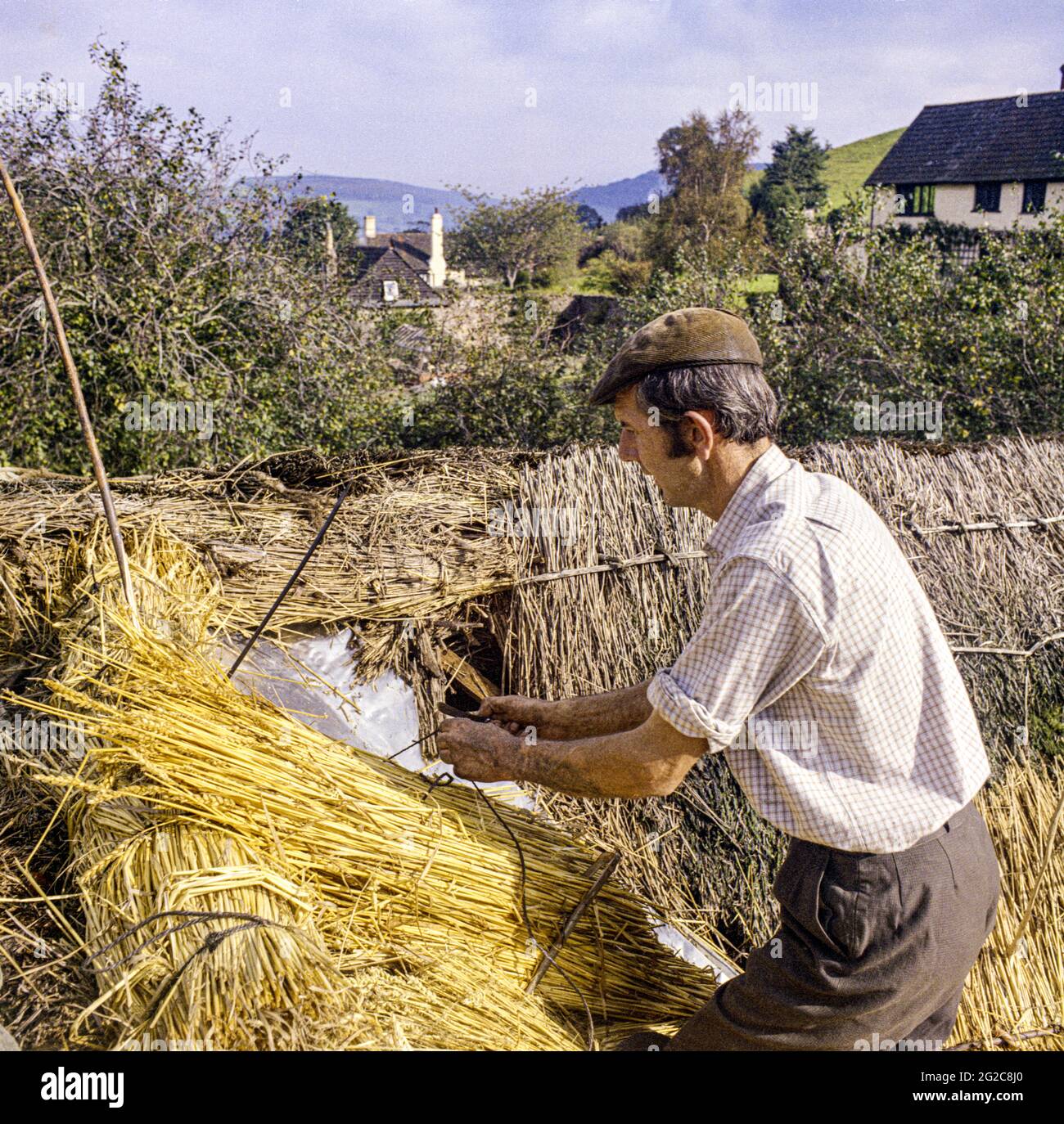 A thatcher thatching with traditional wheat straw on a cottage in the Exmoor village of Luccombe, Somerset UK in October 1970 Stock Photo