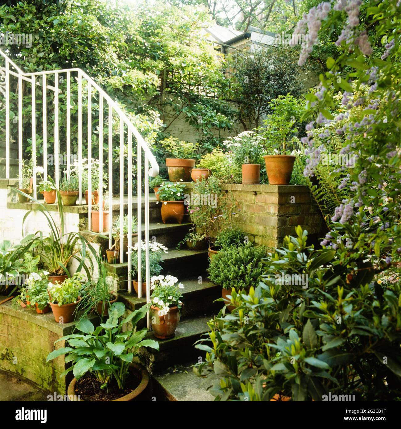 Flower pots on staircase in garden Stock Photo