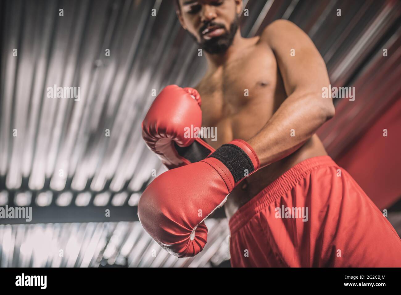 Dark-skinned kickboxer in red shorts and red boxing gloves Stock Photo