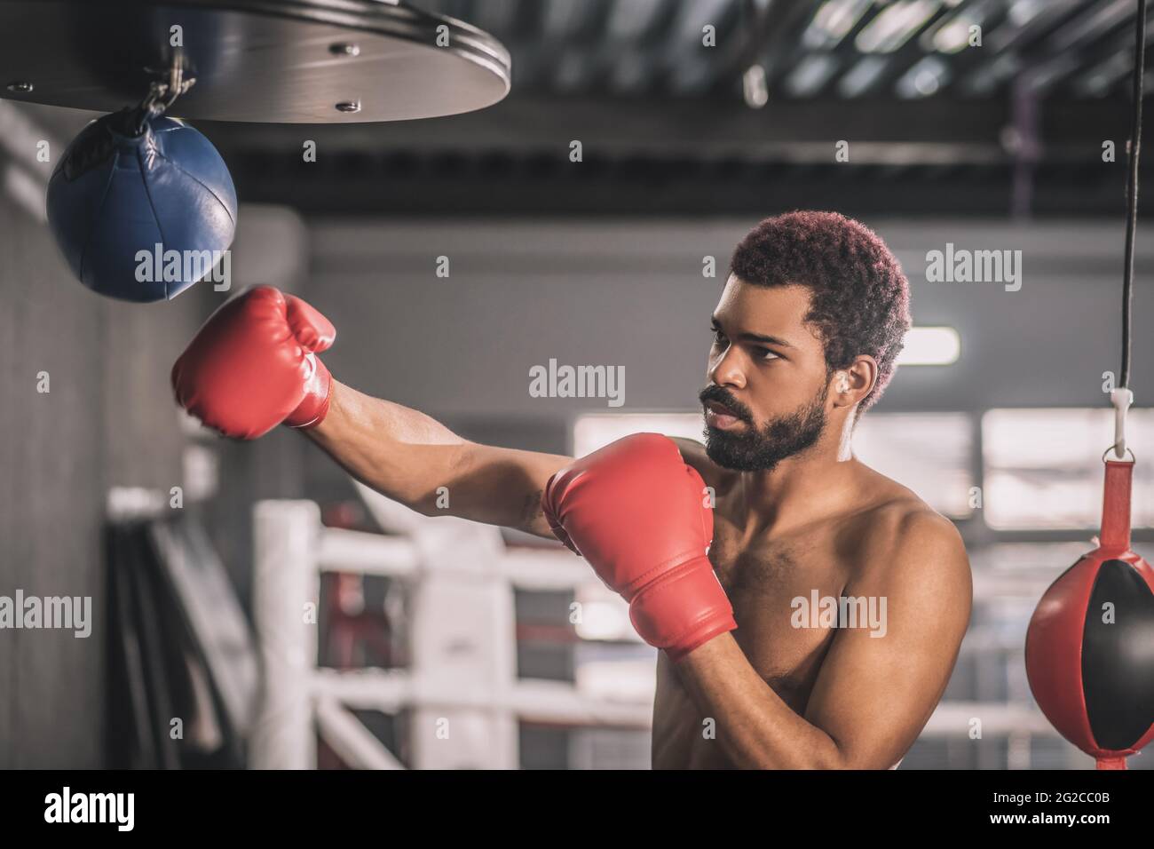 African american kickboxer having a workout in a gym and kicking the sandbag Stock Photo