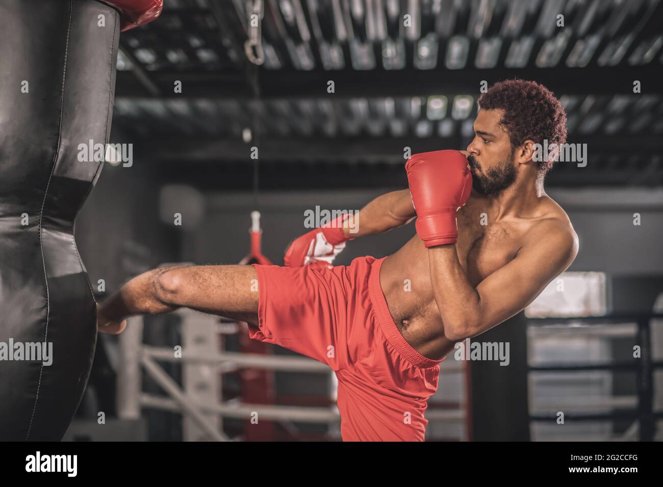 Young dark-skinned kickboxer kicking a sandbag with his leg Stock Photo