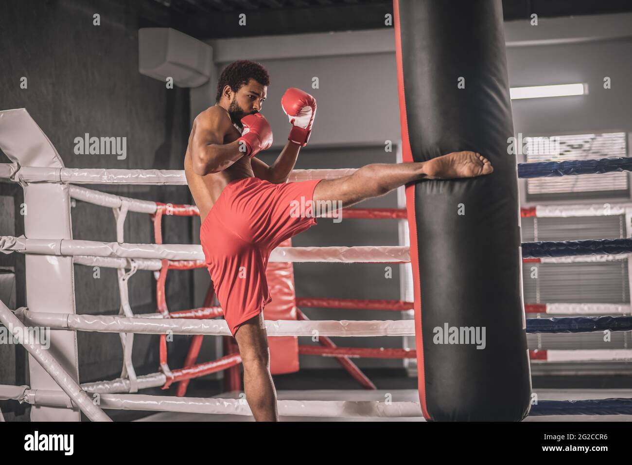 Young dark-skinned kickboxer kicking a sandbag with his leg Stock Photo