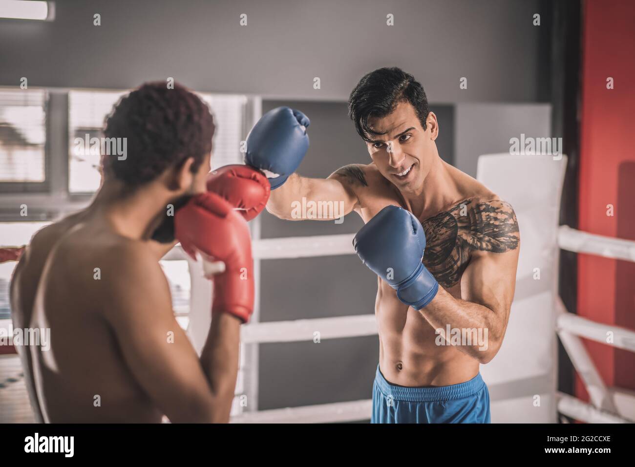 Two young kickboxers having a workout and looking involved Stock Photo