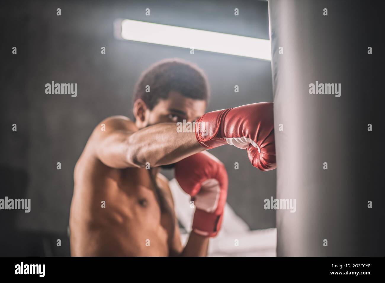 Dark-skinned kickboxer having a workout in a gym and looking involved Stock Photo