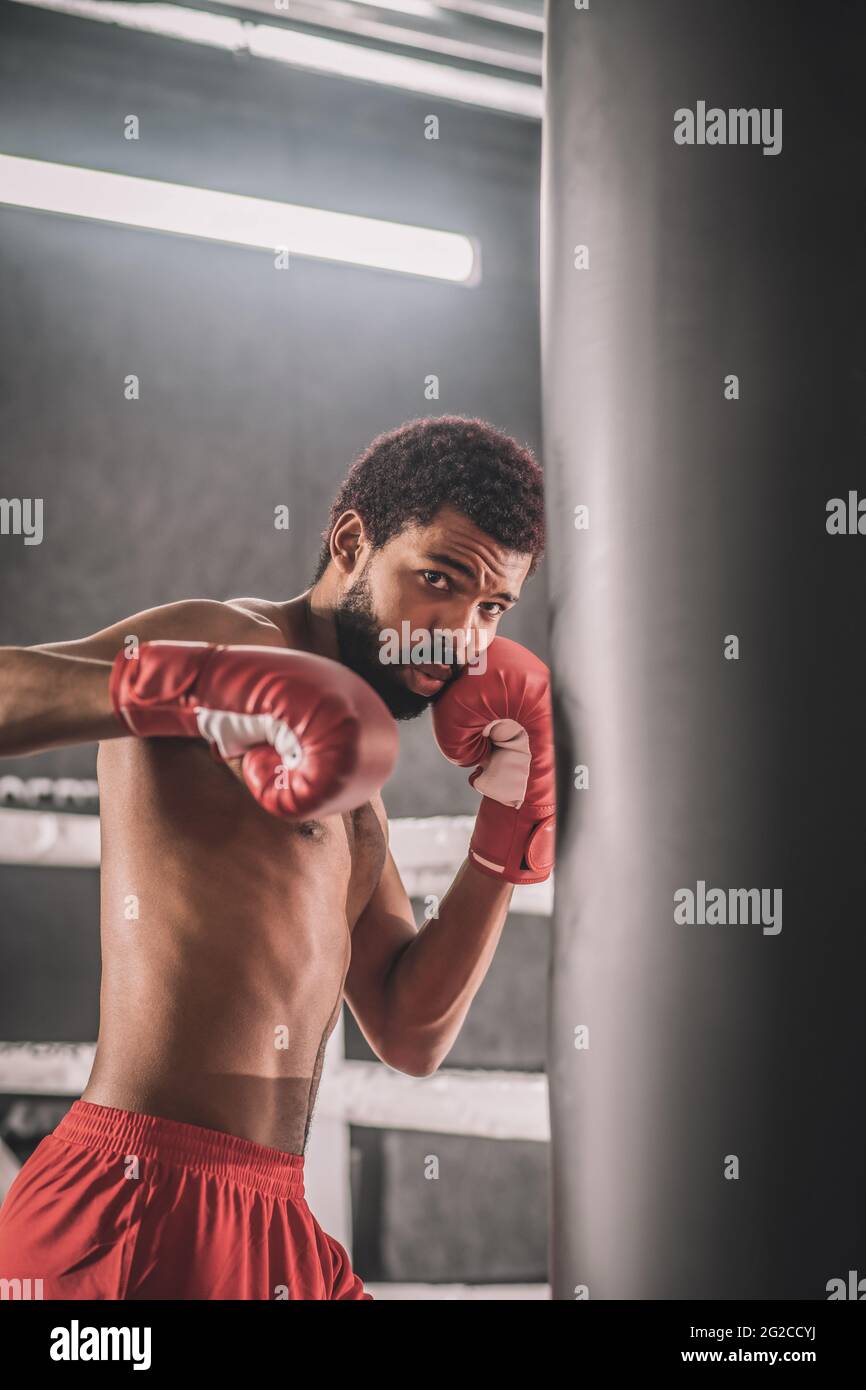 Dark-skinned kickboxer having a workout in a gym and looking involved Stock Photo