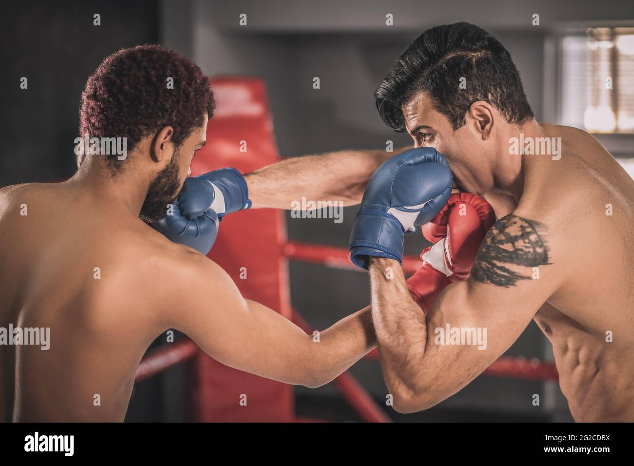Two rivals having a fight on a boxing ring and looking aggressive Stock Photo