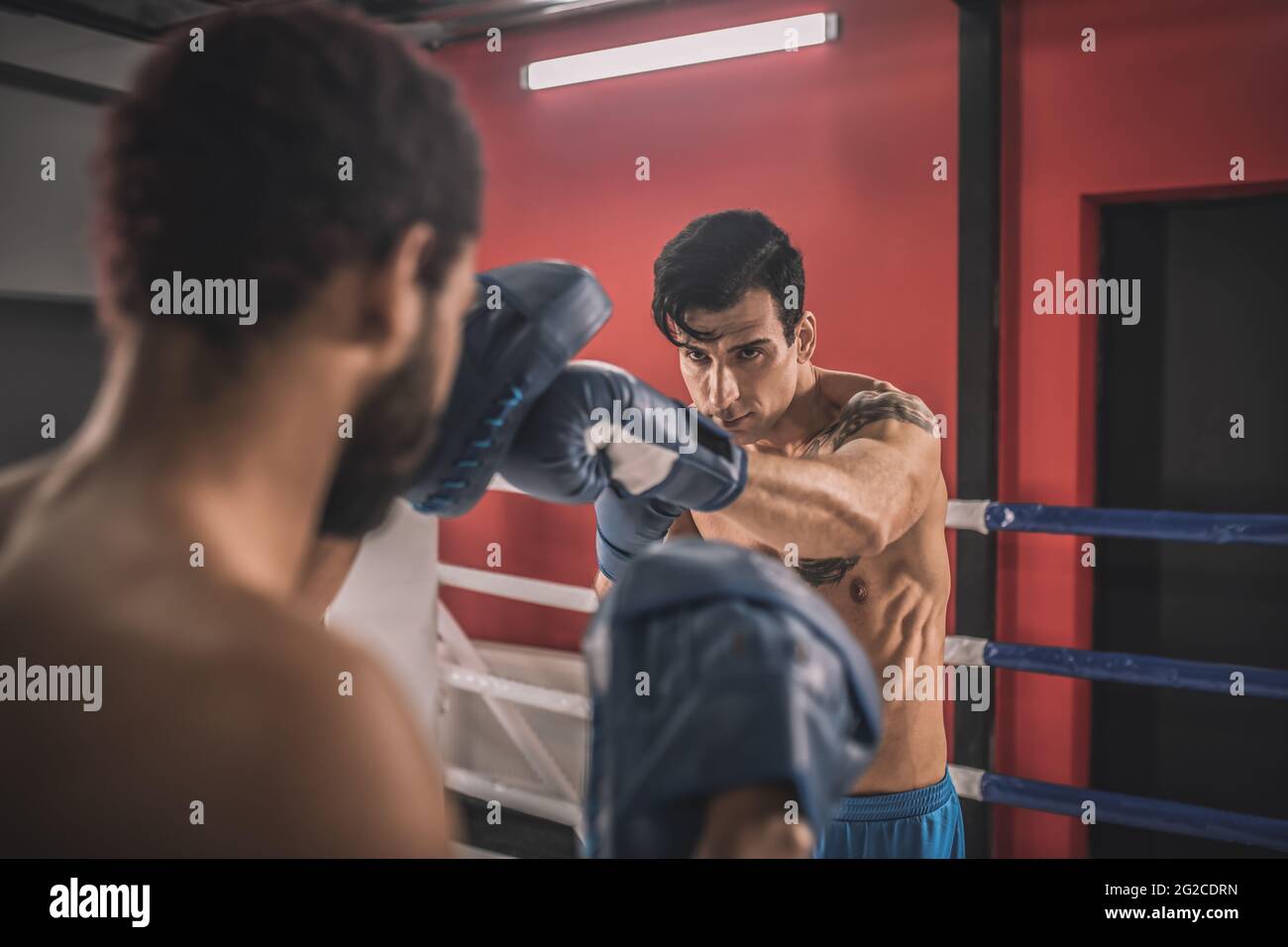 Young men fighting on a boxing ring and looking determined Stock Photo