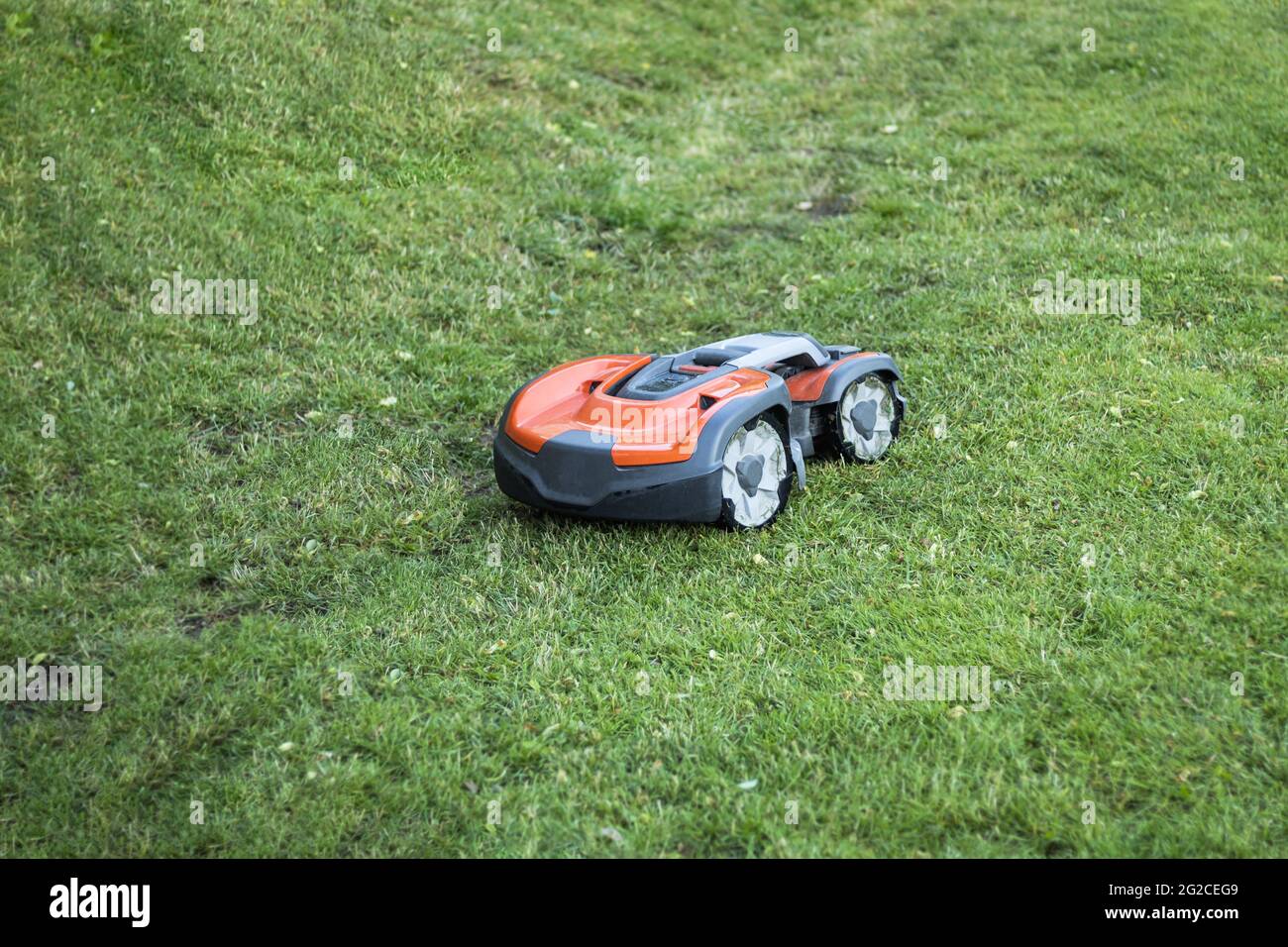 Automatic lawn mower robot mowing grass in garden front view selective focus Stock Photo Alamy