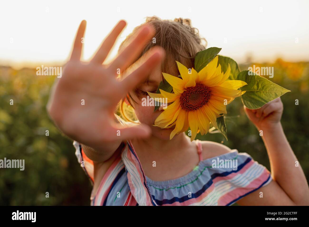 Girl holding sunflower Stock Photo Alamy