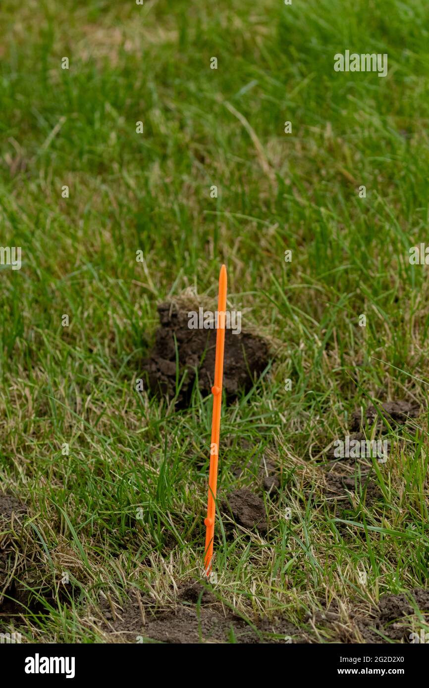 Mole trap marker in a field in Yorkshire, England. Stock Photo