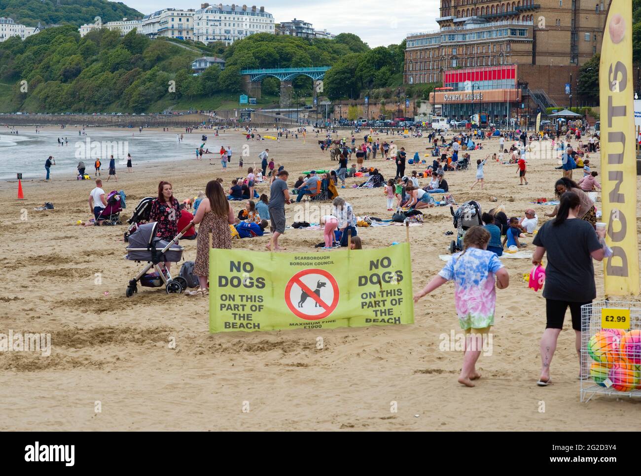 A busy Scarborough beach during half term of covid times with no dogs on beach sign Stock Photo
