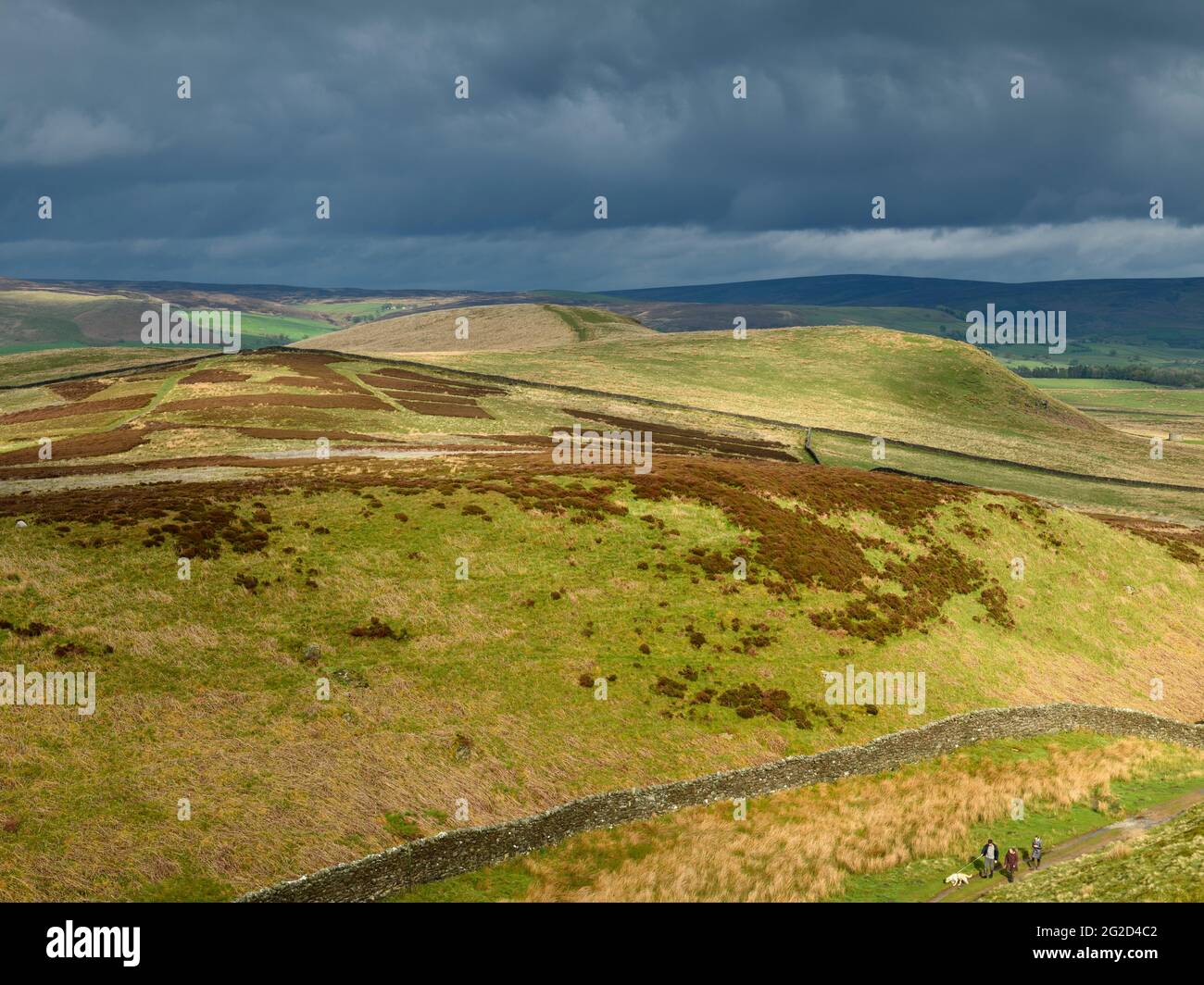 Scenic rural landscape & dark rain clouds (hilly area, rolling sunlit hills, people walking pet dog) - view to Wharfedale, Yorkshire Dales England, UK Stock Photo