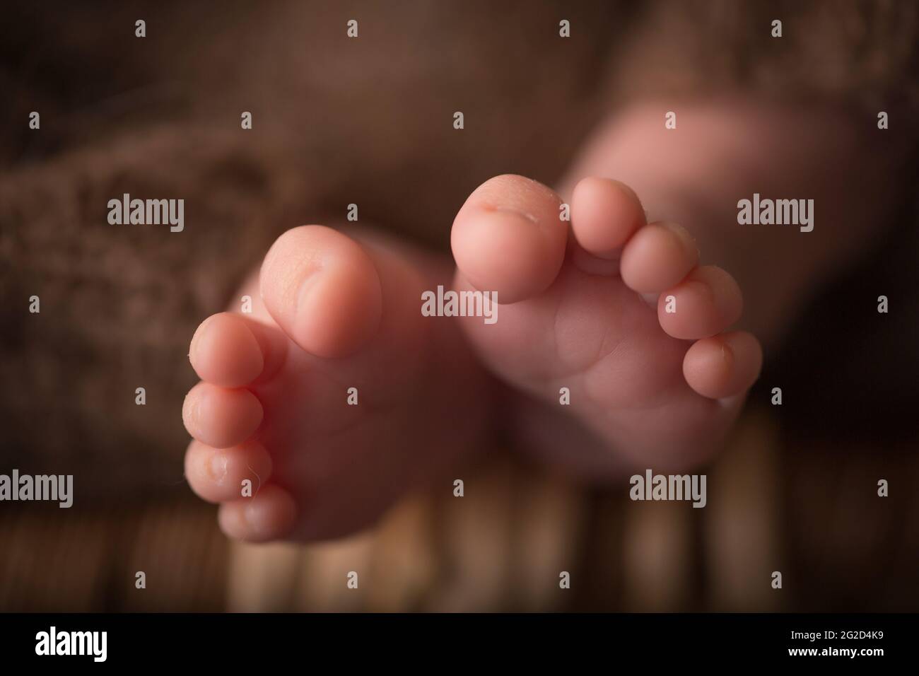 Baby feet. The tiny foot of a newborn in soft selective focus. Image of