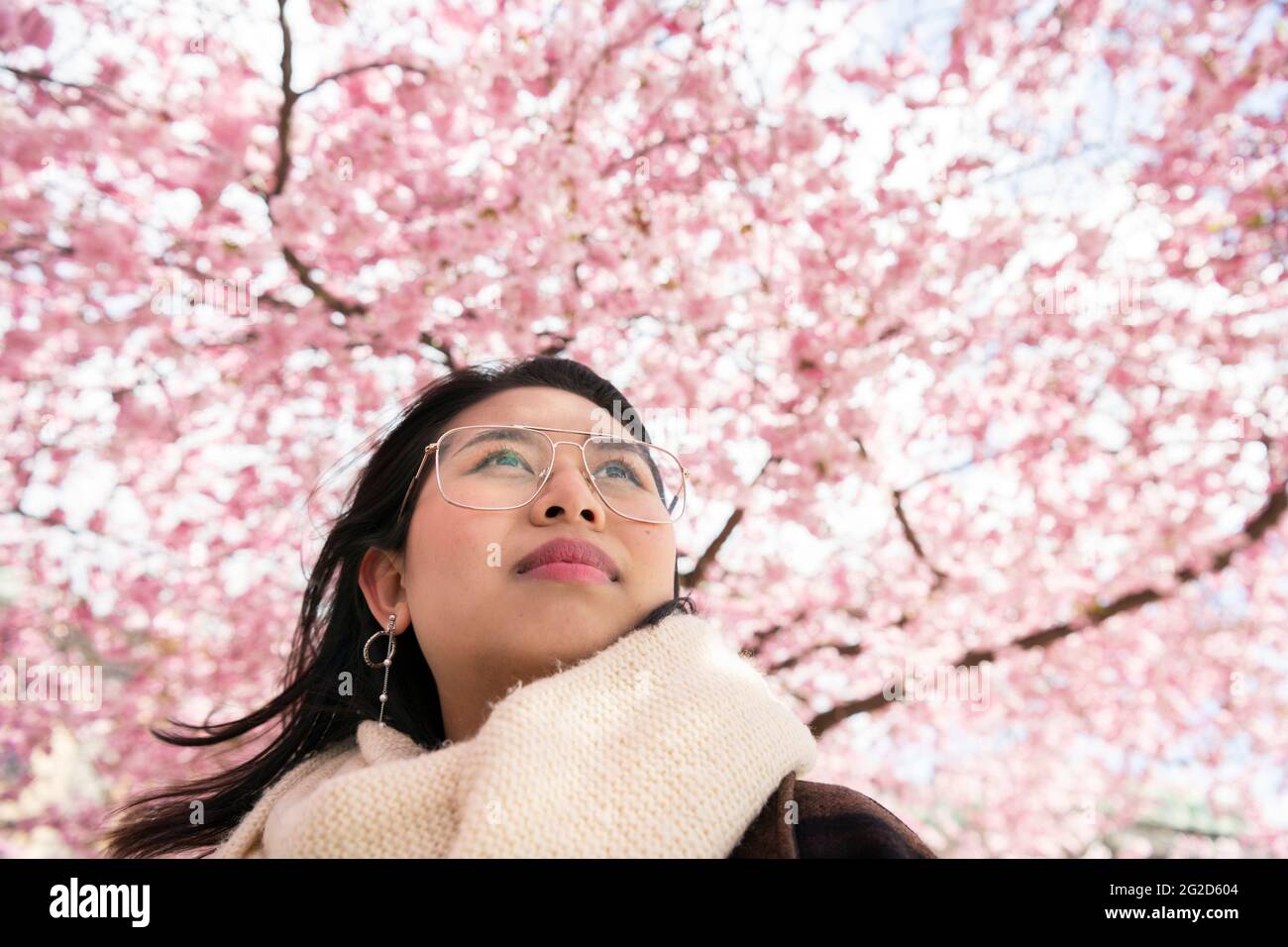 Woman standing under cherry blossom Stock Photo - Alamy
