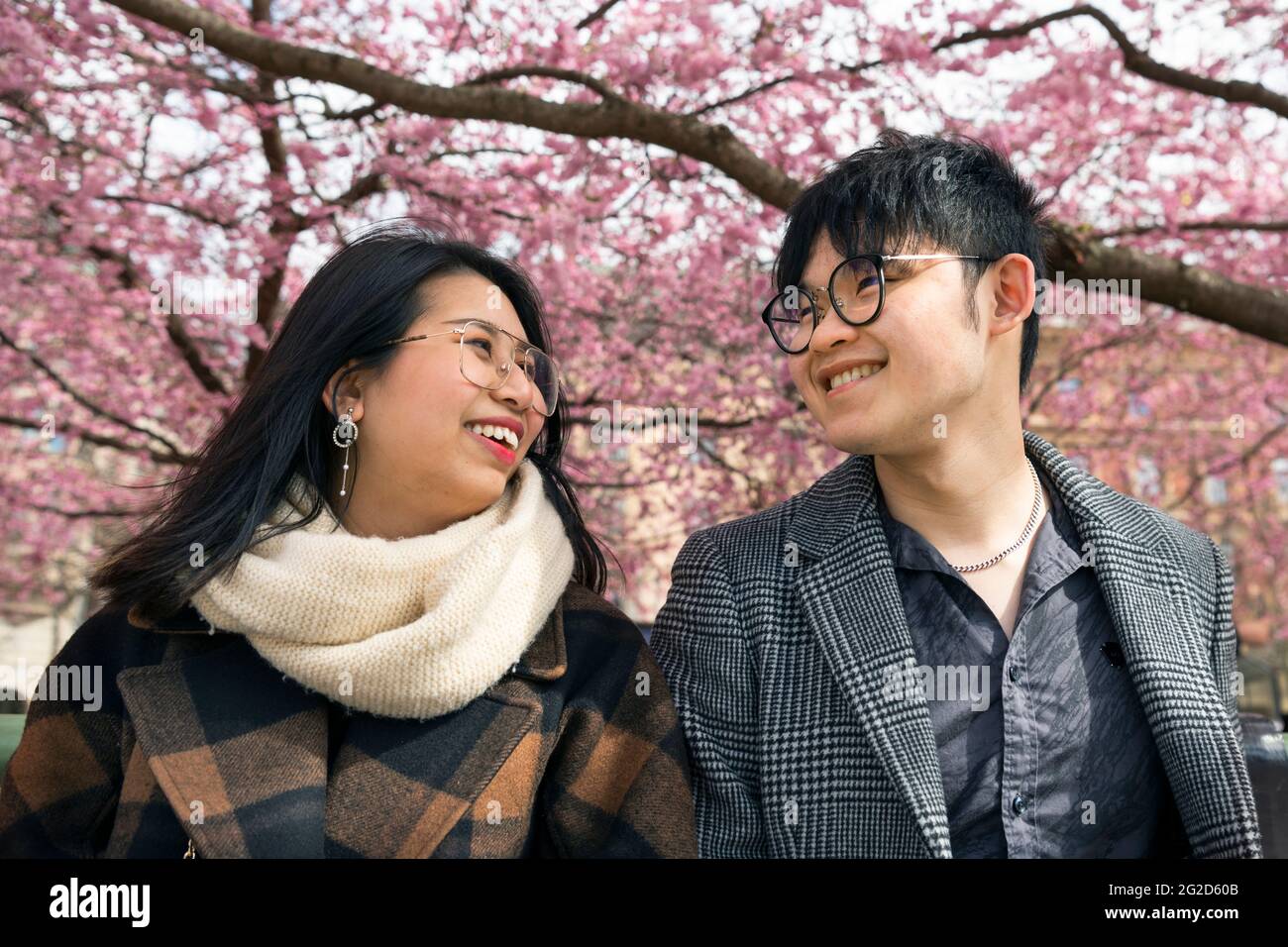 Smiling couple under cherry blossom Stock Photo - Alamy