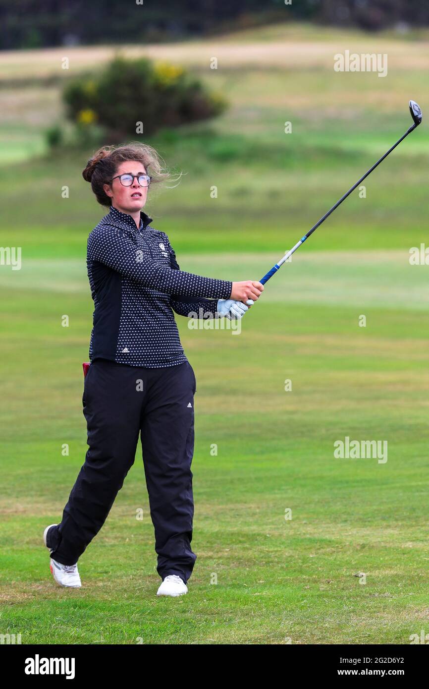 Emily toy hi-res stock photography and images - Alamy