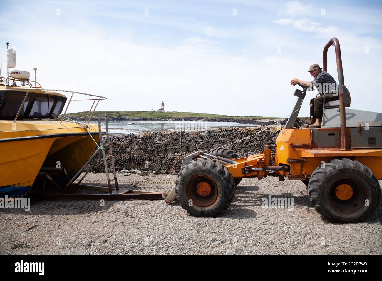 Man wearing a deer stalker hat leans on the steering wheel of a converted dumper truck, launching a yellow ferry boat at Ynys Enlli / Bardsey Island Stock Photo