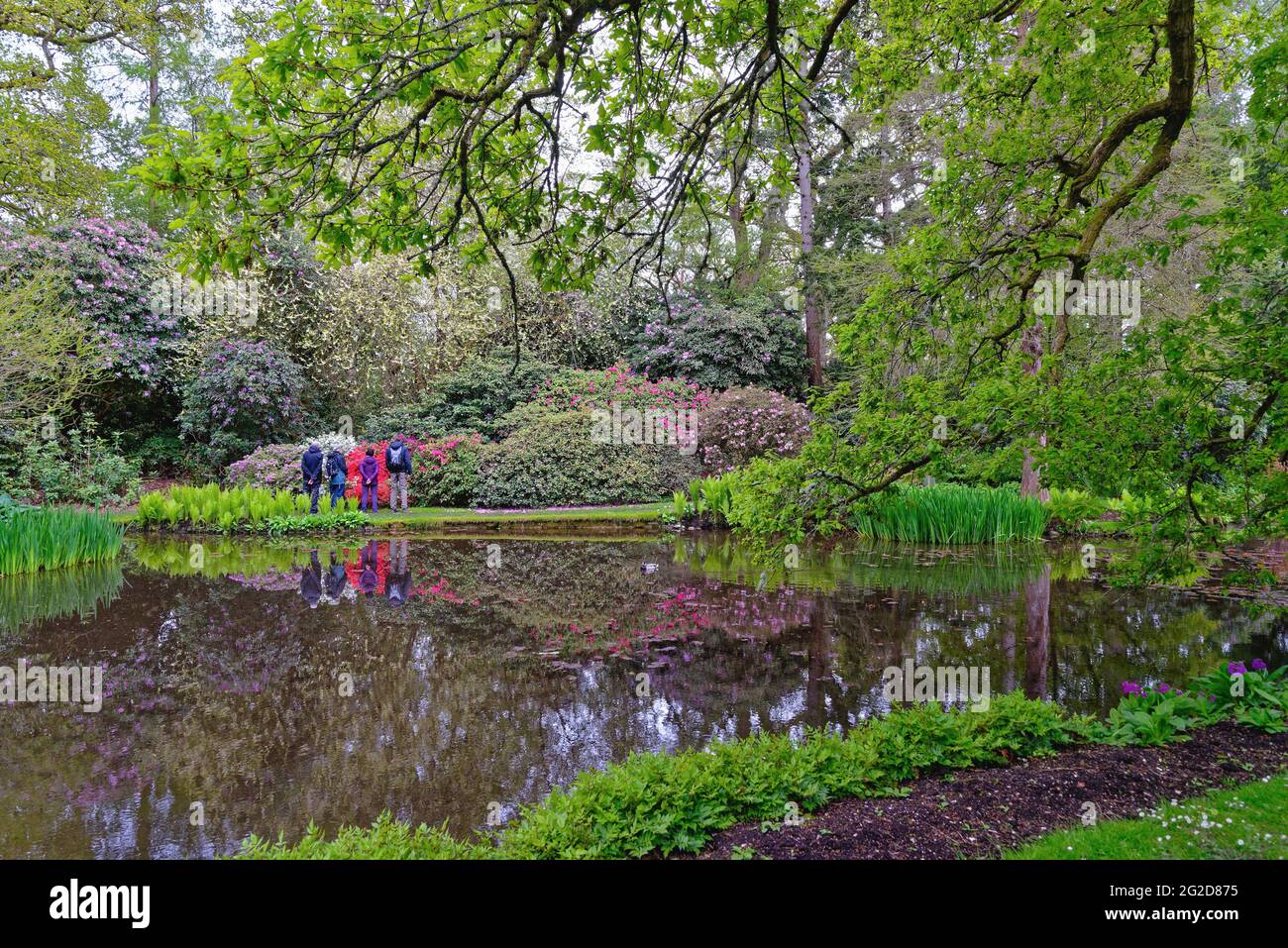 Longstock Water Gardens near Stockbridge Hampshire England UK Stock