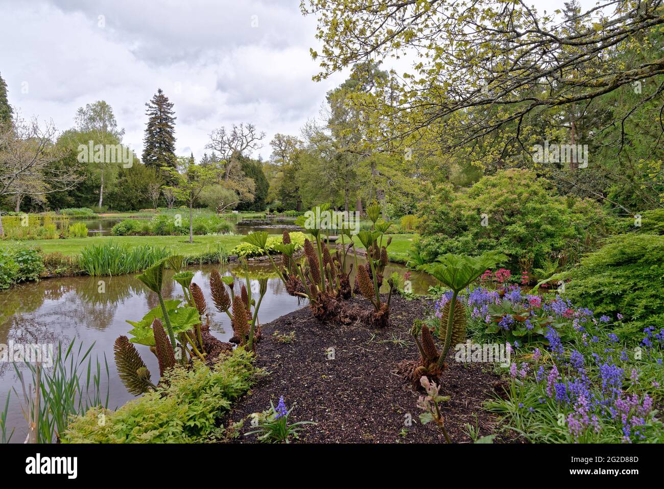 Longstock Water Gardens near Stockbridge Hampshire England UK Stock