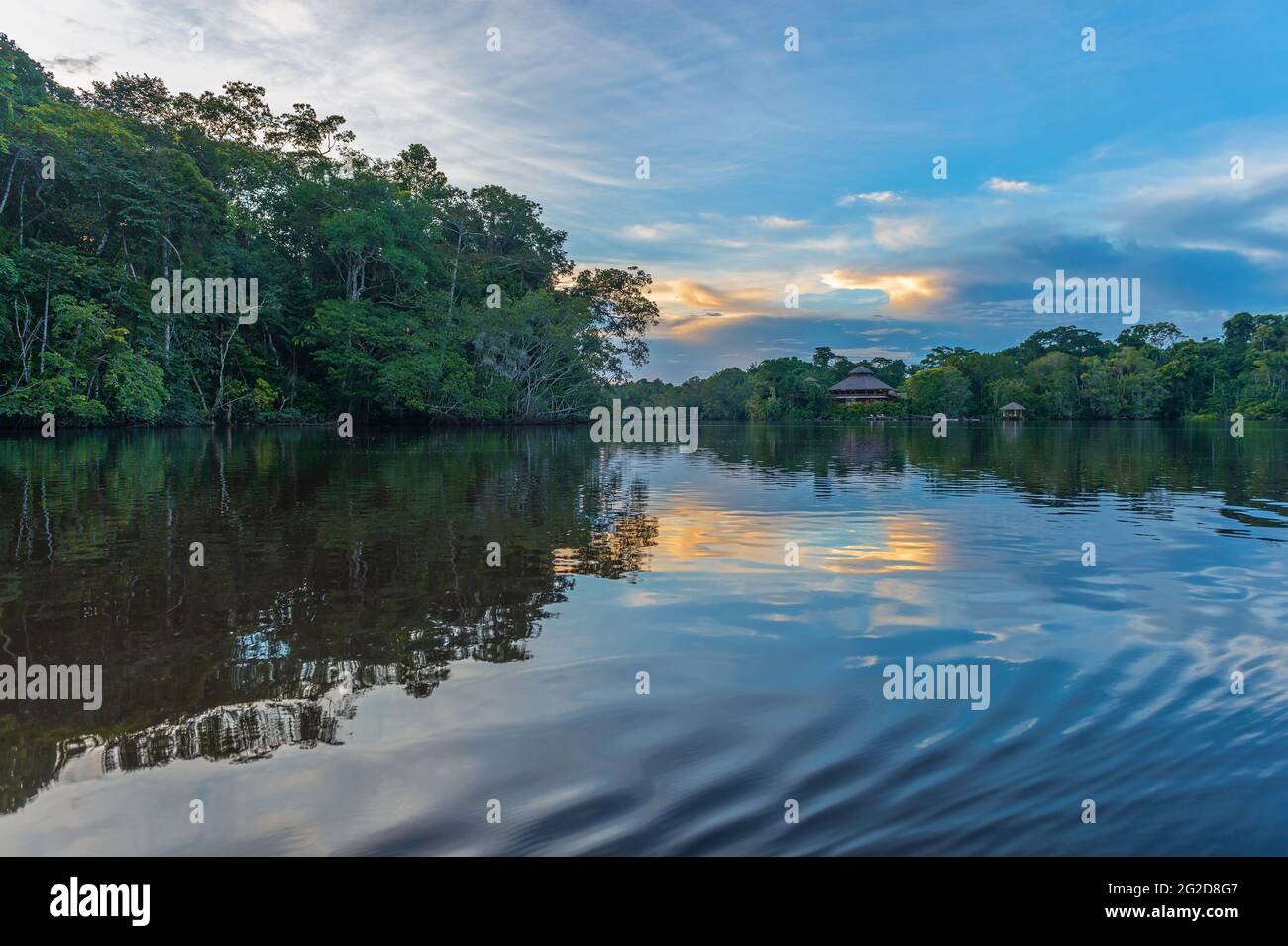 Amazon river rainforest sunset reflection. Amazon jungle is located in