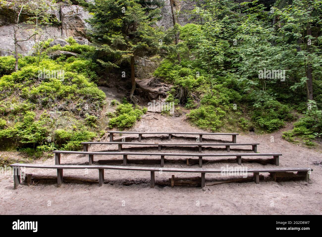 Empty benches of a natural theater in the woods Stock Photo