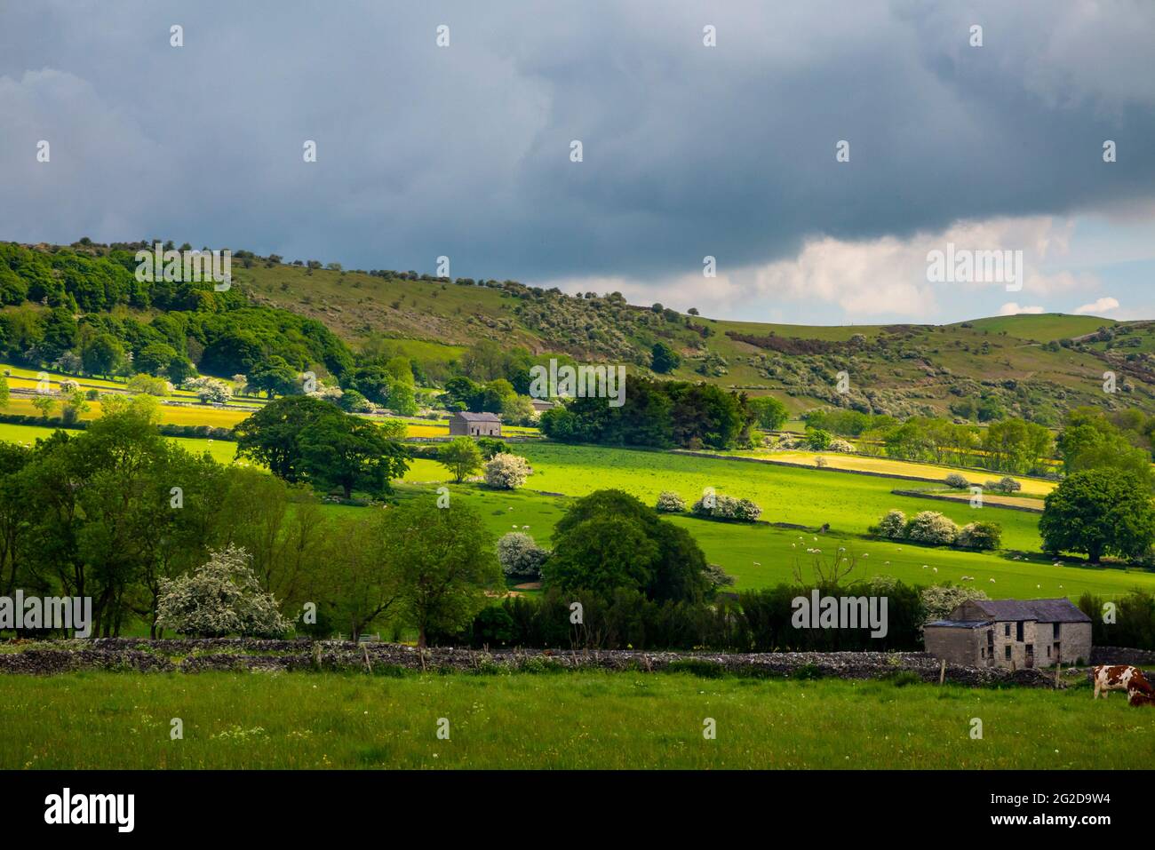 Early summer view of Longstone Edge near Monsal Head in the Peak District National Park Derbyshire England UK with clouds in sky above. Stock Photo