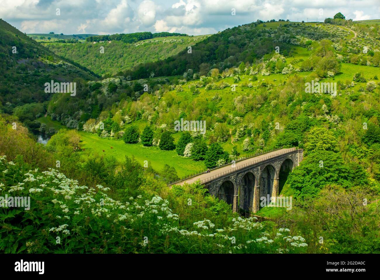 Early summer at Monsal Head a popular viewpoint in the Peak District National Park Derbyshire England UK with Monsal Viaduct in foreground. Stock Photo