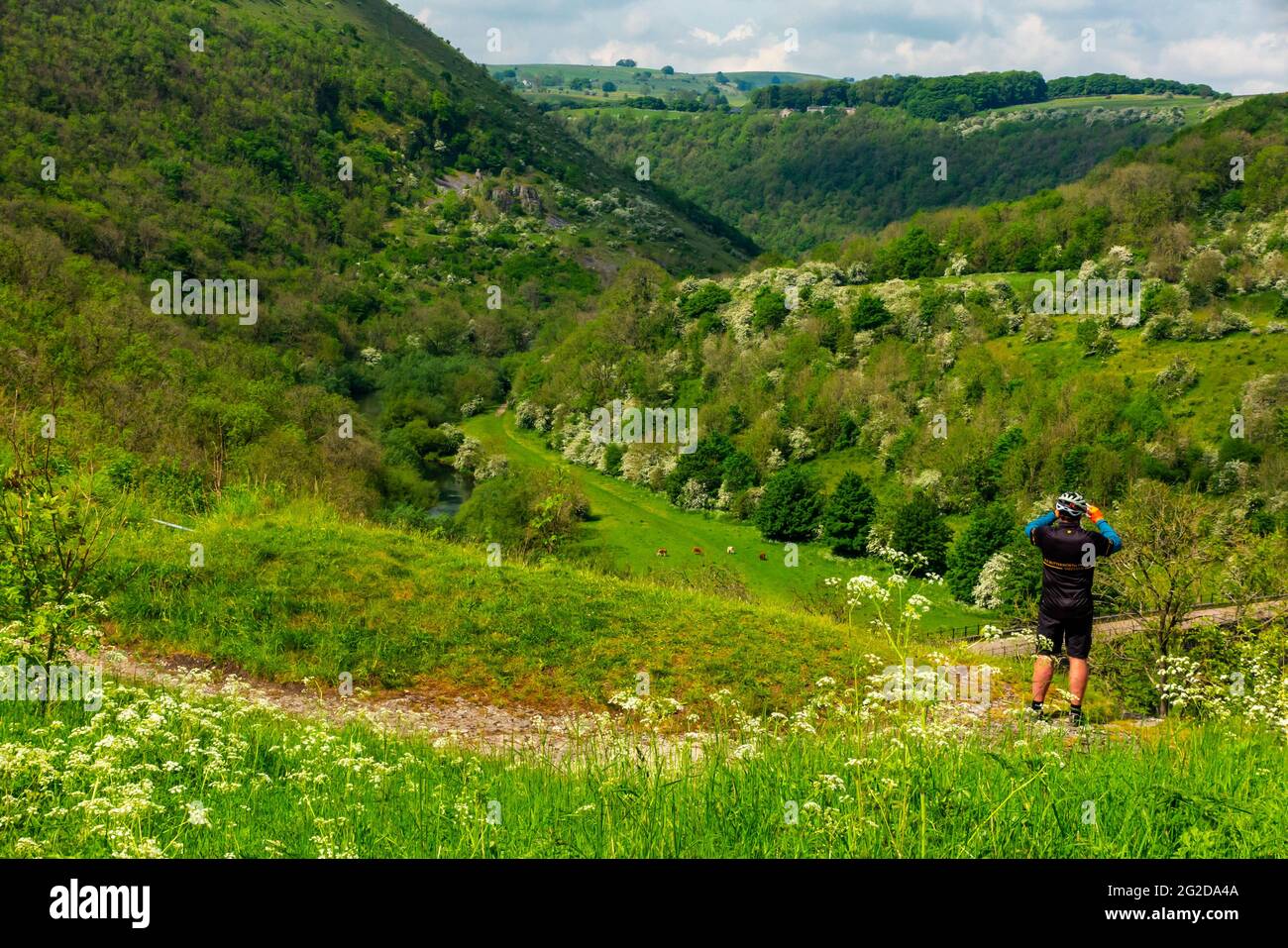 Early summer at Monsal Head a popular viewpoint in the Peak District National Park Derbyshire England UK with tourist in foreground. Stock Photo