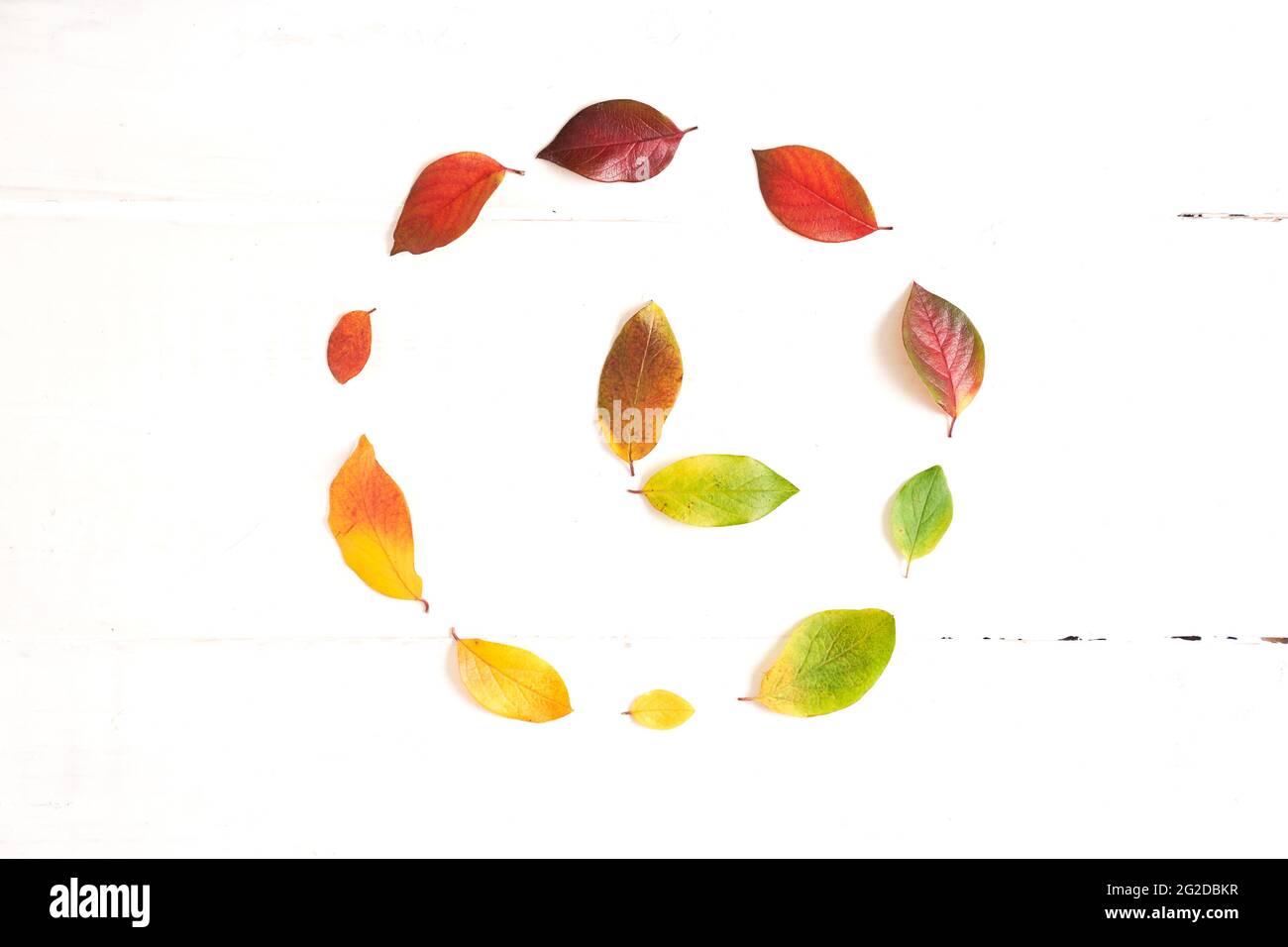 Quality Circle High Resolution Stock Photography And Images Alamy