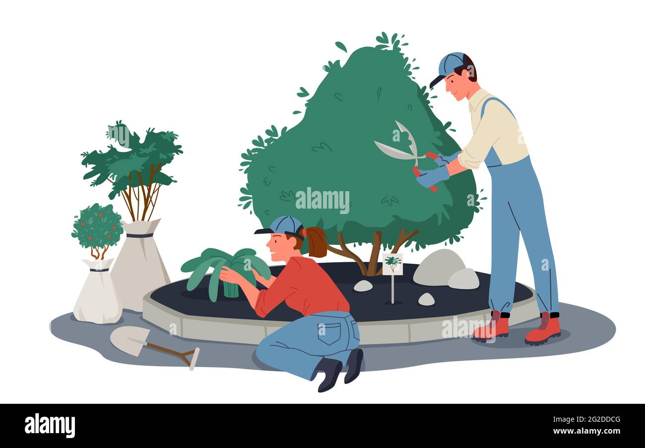 People gardeners work in garden or park, prune plants, workers pruning, trimming shrub Stock Vector
