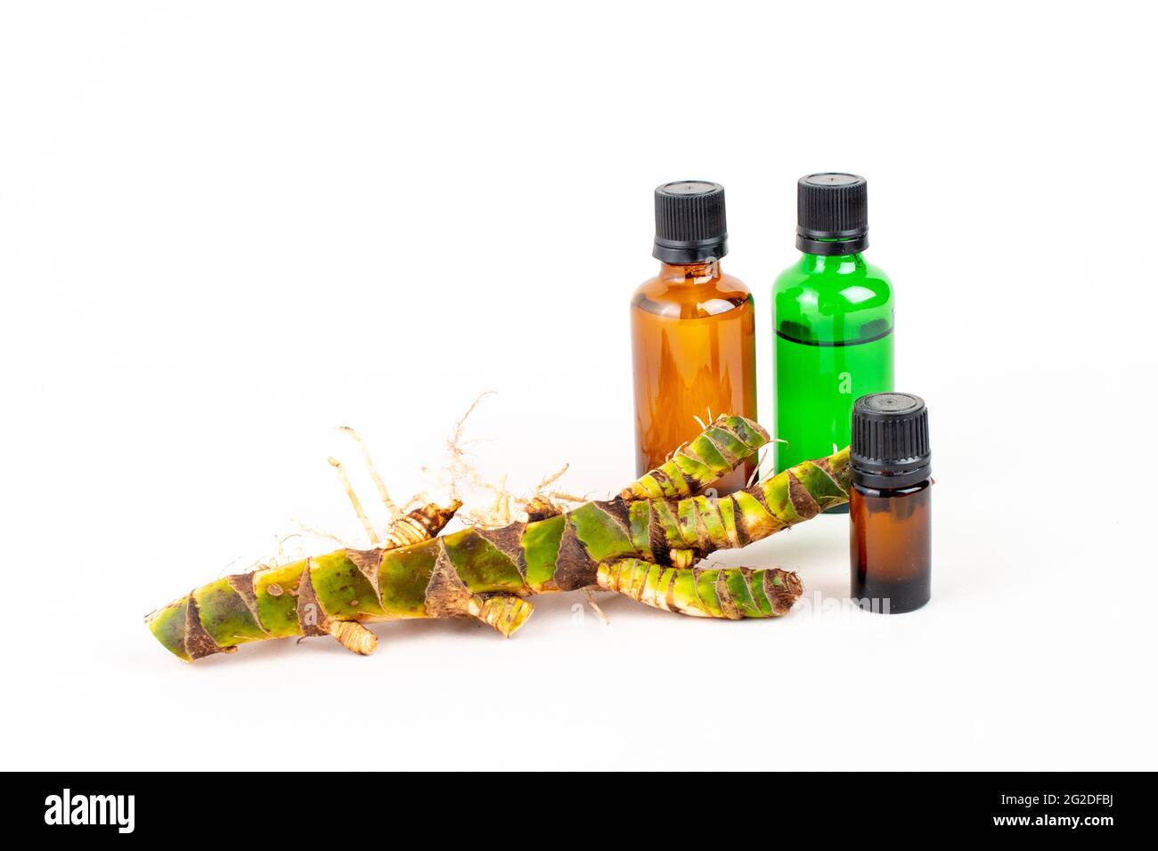 Fresh Acorus calamus roots, also known as sweet flag, and bottles with oil and extract isolated on light background. Calamus root is used in personal Stock Photo