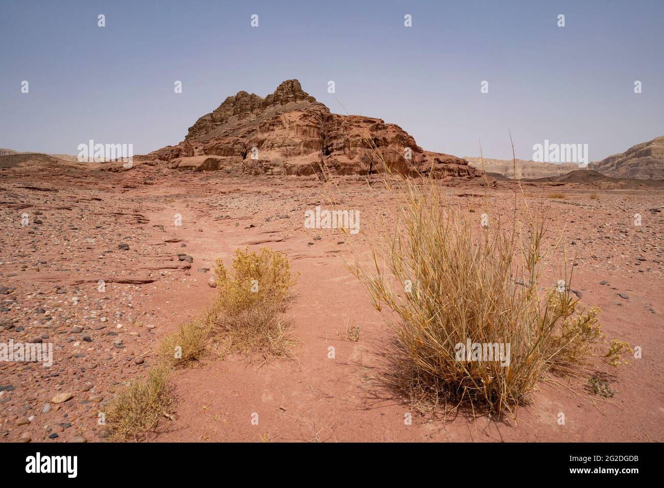 A desert landscape with bushes, red sand and red rocks, in the Timna valley park in southern Israel. Stock Photo