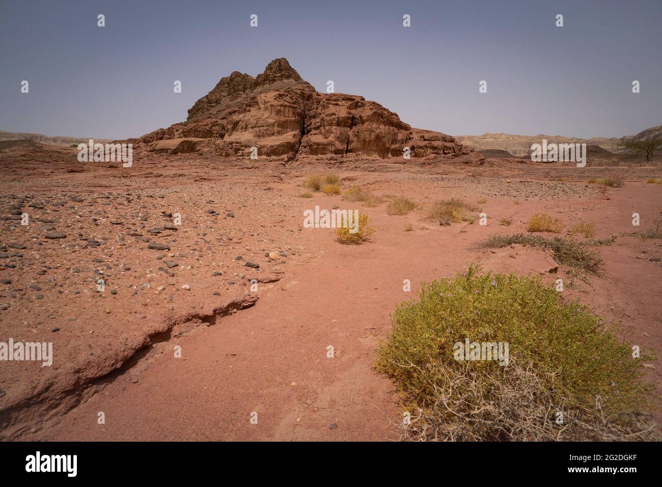 A desert landscape with bushes, red sand and red rocks, in the Timna valley park in southern Israel. Stock Photo