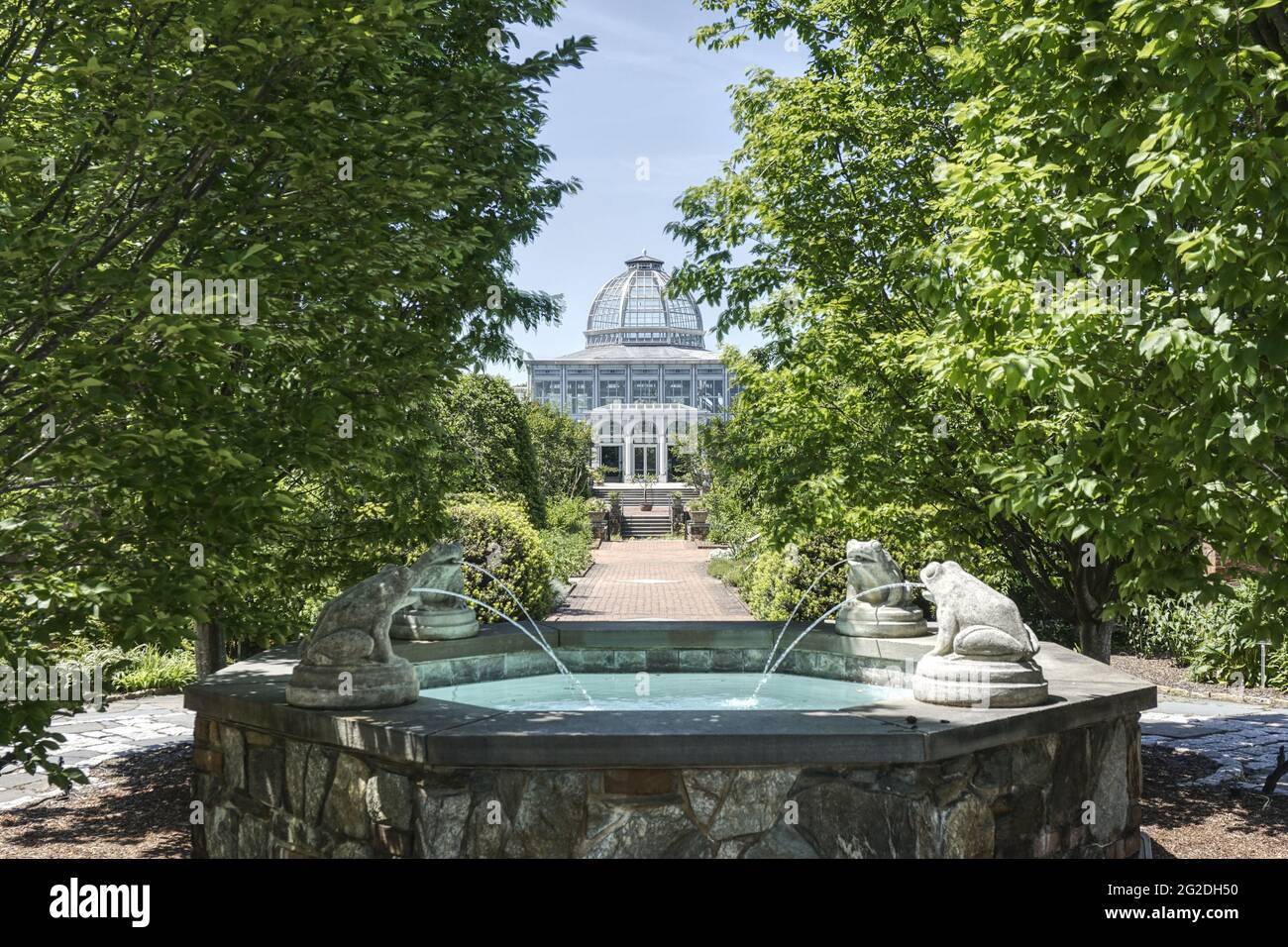 Frog Blog: Frogs in the Conservatory - Lewis Ginter Botanical Garden