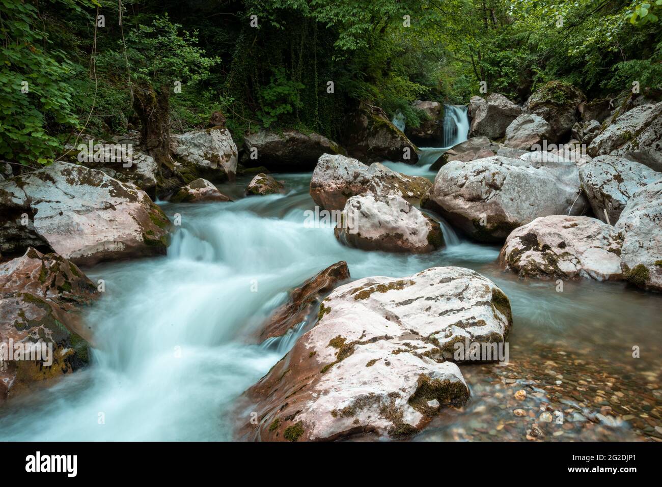 beautiful water oasis with clean water streams and rocks hidden in the forest Stock Photo