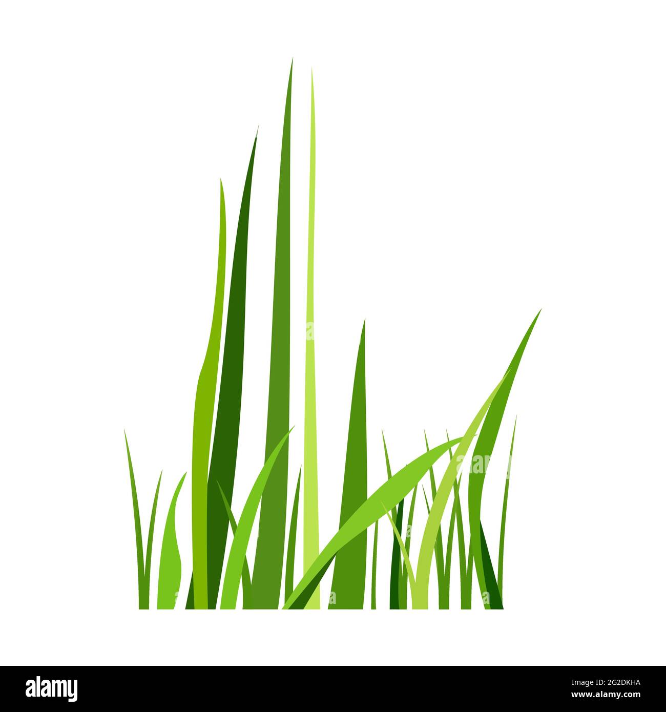 Bunch green weed grass Stock Vector Images - Alamy