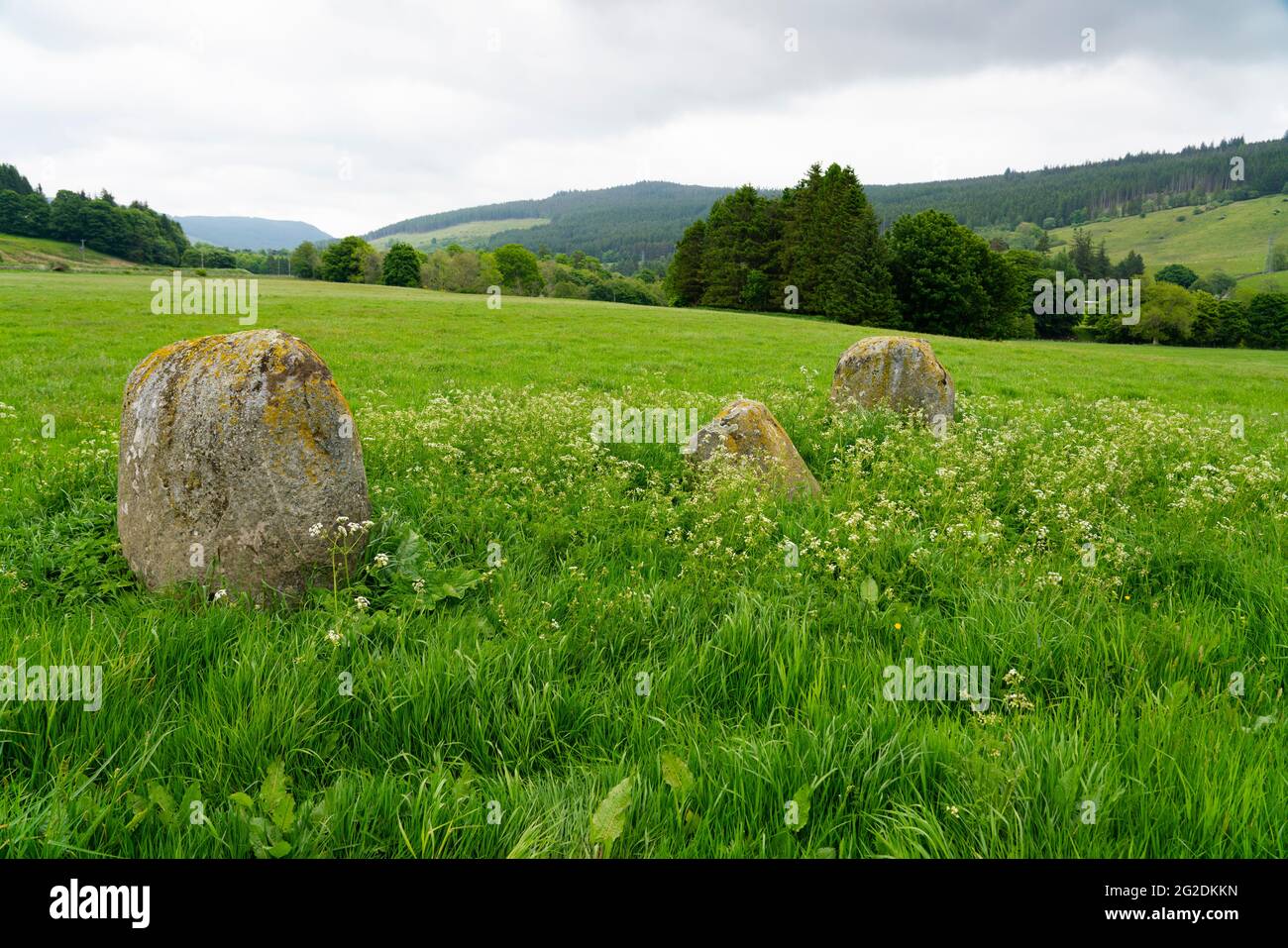 One of three stone circles in a field at Fortingall in Glen Lyon, Perthshire, Scotland, UK Stock Photo