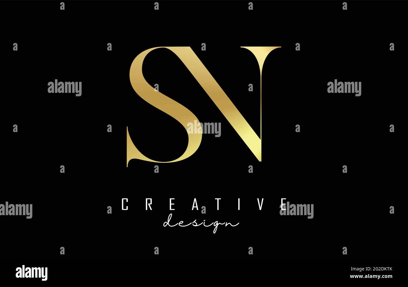 Golden SN s n letters logo concept with serif font and elegant style ...